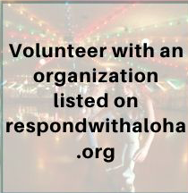 02-volunteer