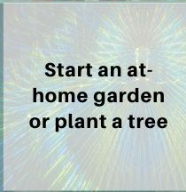 06-garden