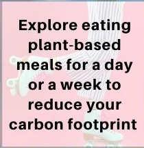 12-plantbased