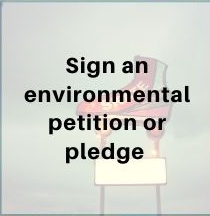 14-signon