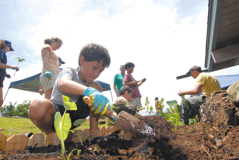 hawaii volunteer week 2
