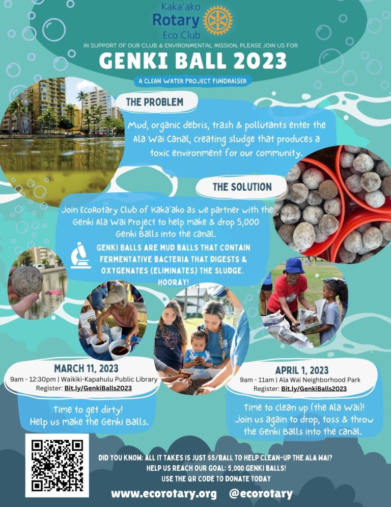 Genki Ball Drop