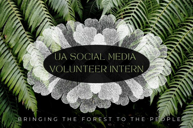 Remote Social Media Volunteer Internship