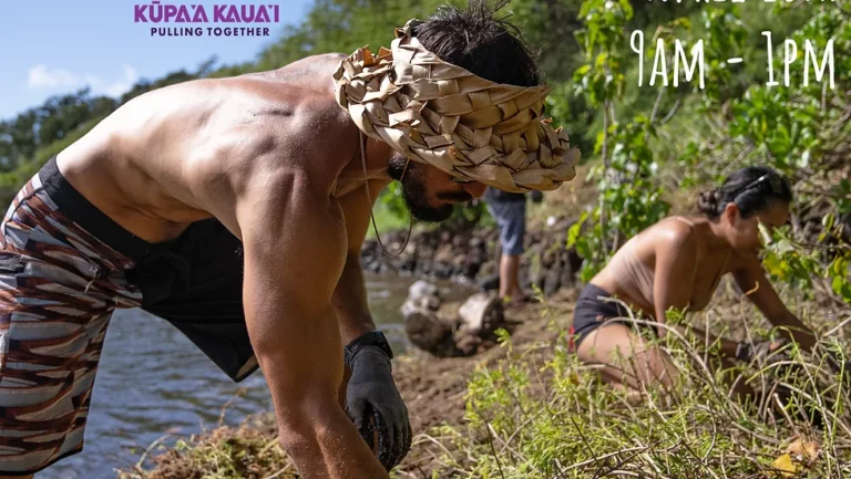 Loko Iʻa Community Restoration Day