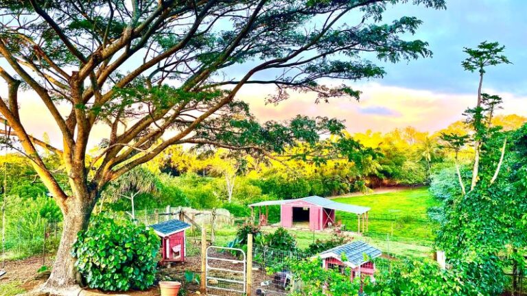 Animals and Gardens