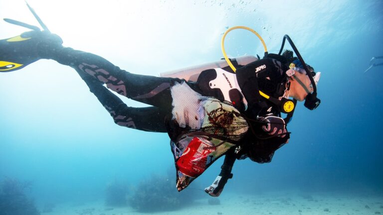 04/22/2023 Maui Diving Mala Pier Ocean Cleanup – Dive For Earth Day