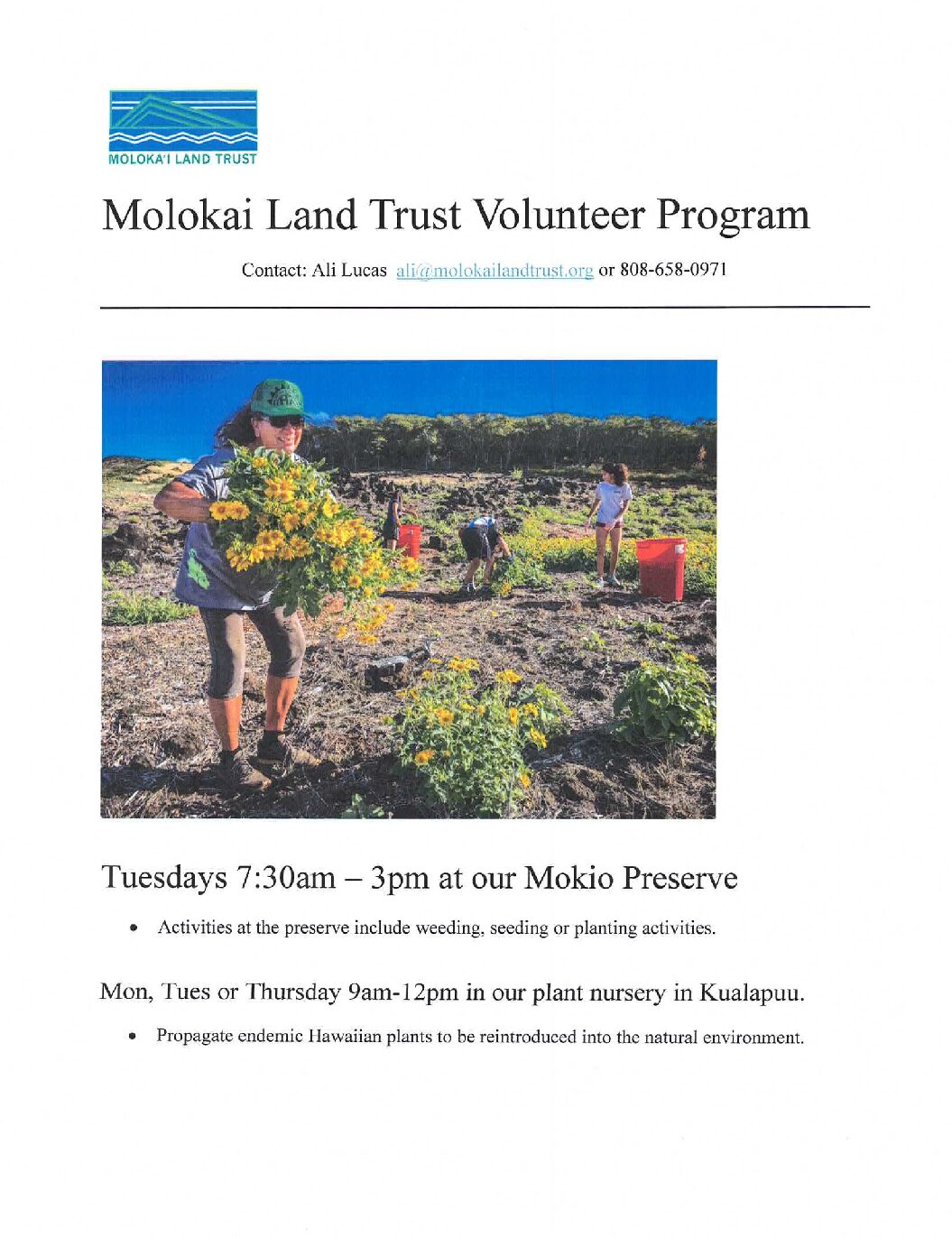 Volunteer Opportunities