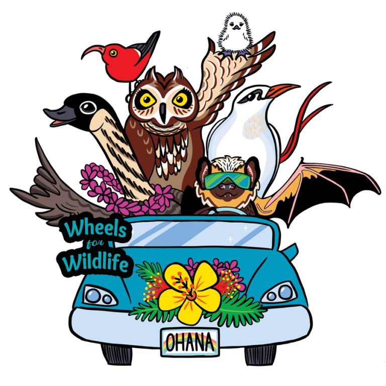 Wheels for Wildlife