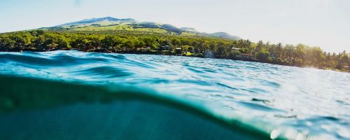 Blue ʻĀina Reef Cleanup