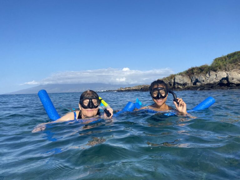 We Go Maui