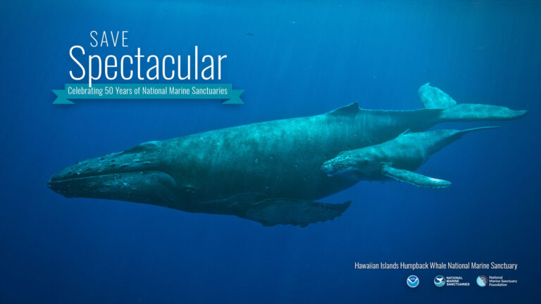 Hawaiian Islands Humpback Whale National Marine Sanctuary