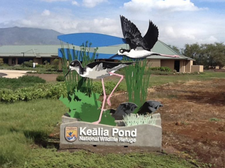 Keālia Pond National Wildlife Refuge