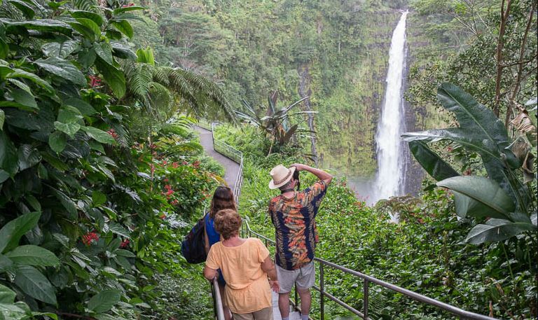 Wasabi International Tours