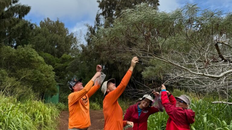 Aloha Pu’u Kukui