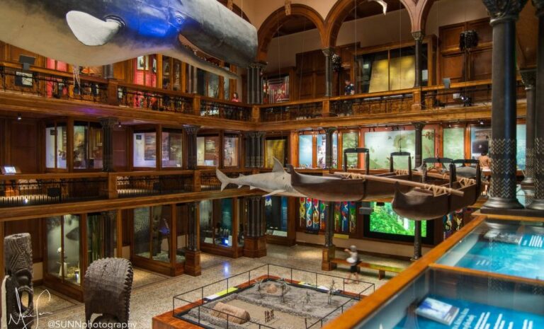 Volunteering at the Museum