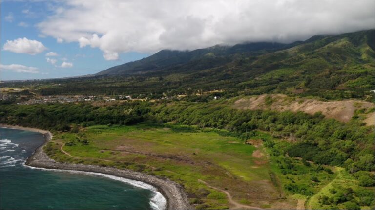 Waihe’e/Kaehu Bay February Clean-Up