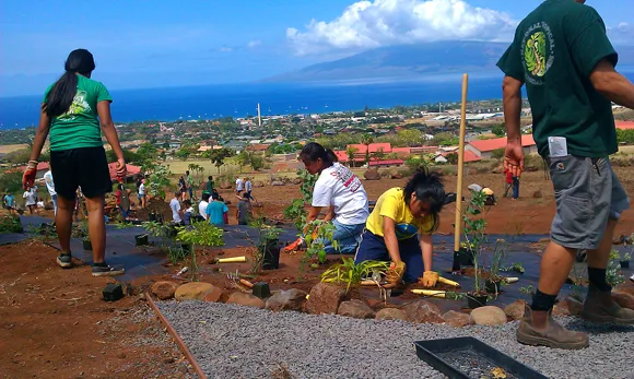 Southwest Airlines volunteers help plant trees at Lahainaluna High School