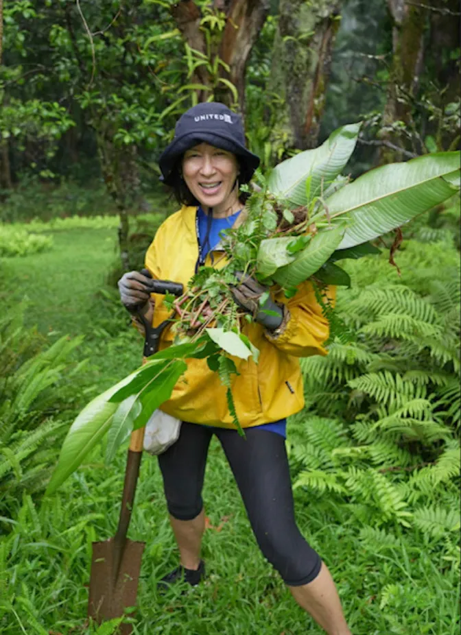United Airlines volunteer helping plants in Hawaii