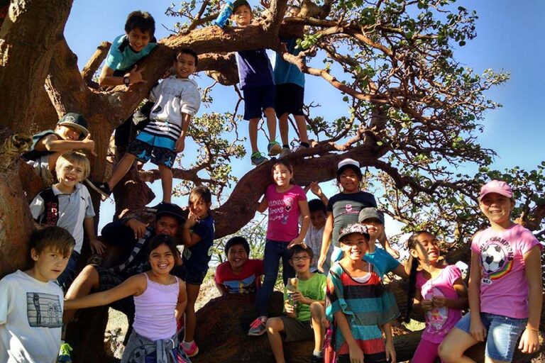 Waikōloa Dry Forest Initiative