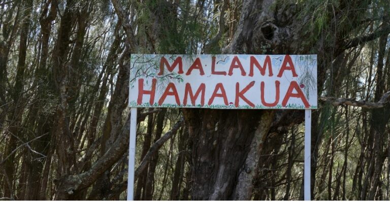 Malama Hamakua Maui Kokua Days
