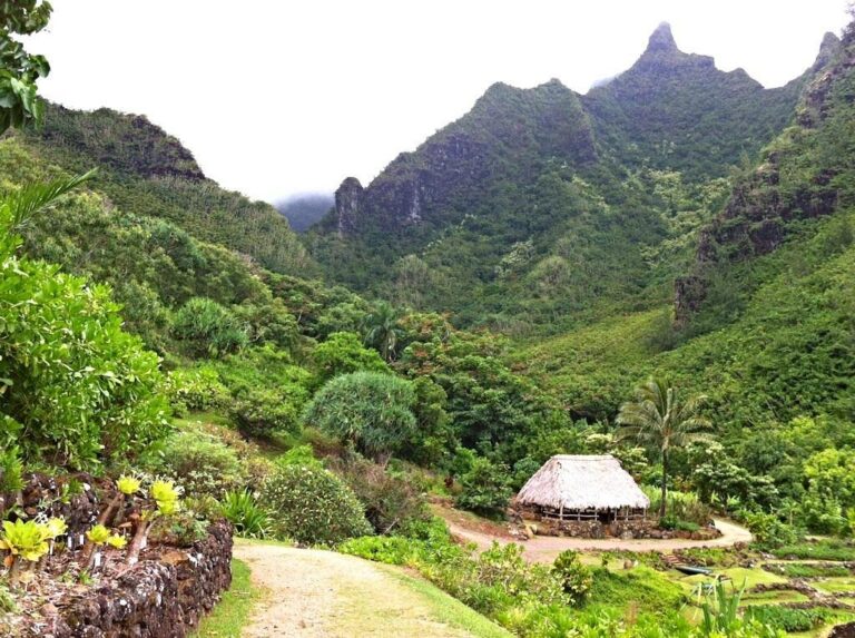 Forest Restoration – Limahuli Garden & Preserve