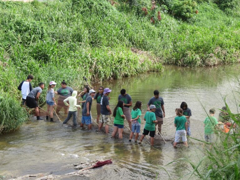 Manoa Adopt-a-Block cleanup and Noelani Rain Garden maintenance