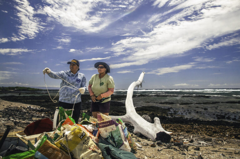 Hawaiʻi Island Volunteer Opportunities w/ Hawai‘i Wildlife Fund