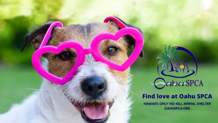 Oʻahu Society for the Prevention of Cruelty to Animals