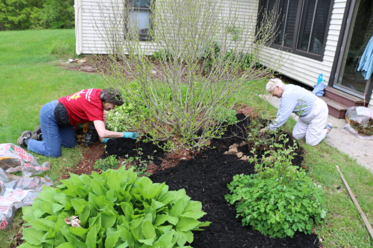 Hanapepe Corps Landscaper