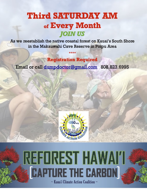 Tree planting and restoration area maintenance