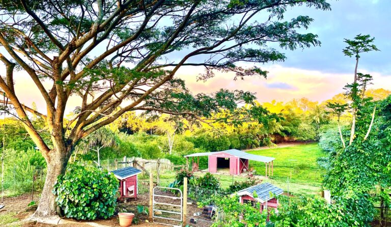 Help with Tropical Gardens and Friendly Animals