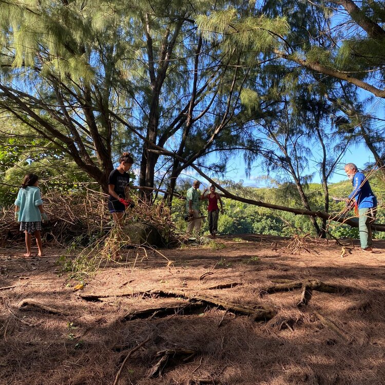 Kāhili Beach Preserve