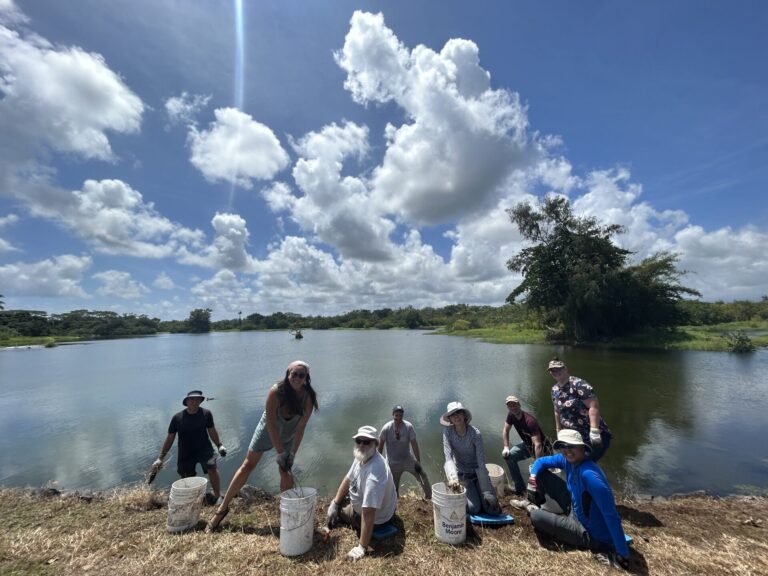 Coastal Wetland and Estuary Restoration in Hilo