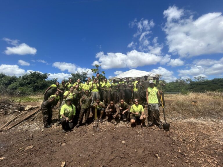 Kapapapuhi Community Workday