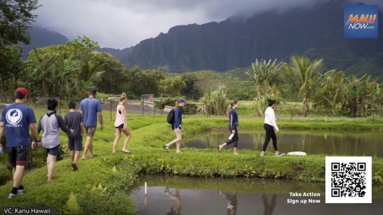 Volunteers sought in support of nonprofits facing federal funding cutbacks in Hawaiʻi