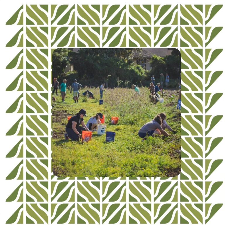 Kona Low Storm Response — Agriculture Stewardship Hawaii