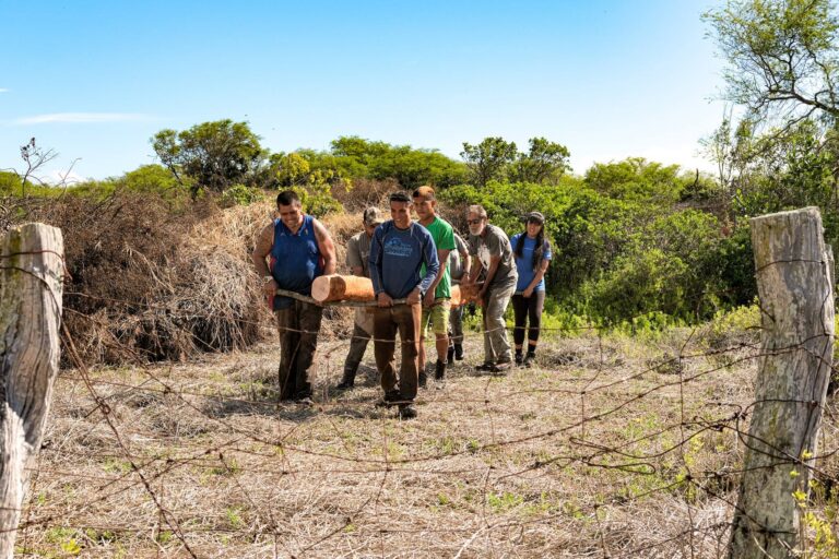 Kona Low Storm Response — Aina Momona