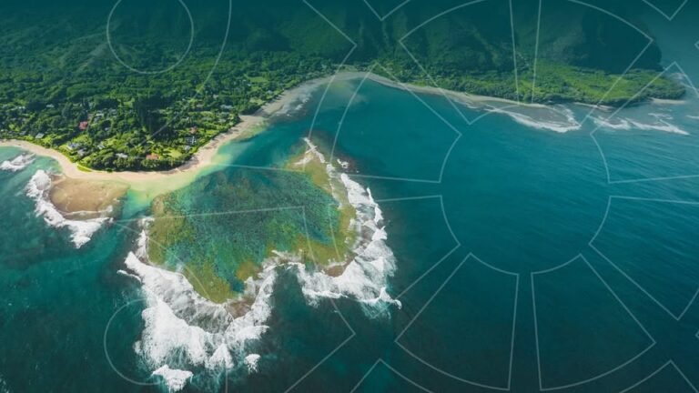 Hawaii Alliance of Nonprofit Organizations