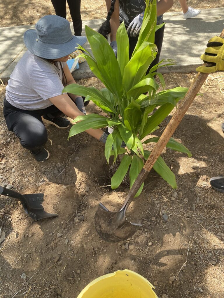 Care for the Crater Workday