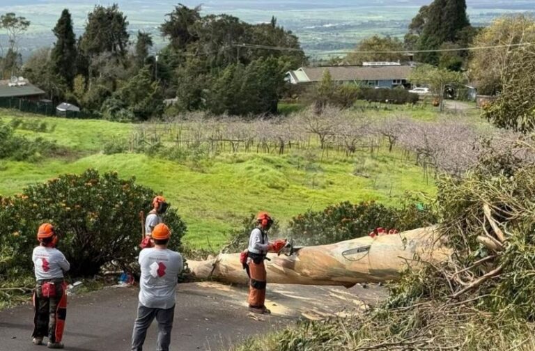 Kona Low Storm Response — Maui United Way