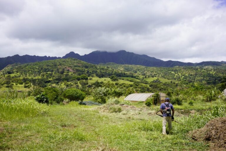 Monthly Community Work Day — Mohala Farms