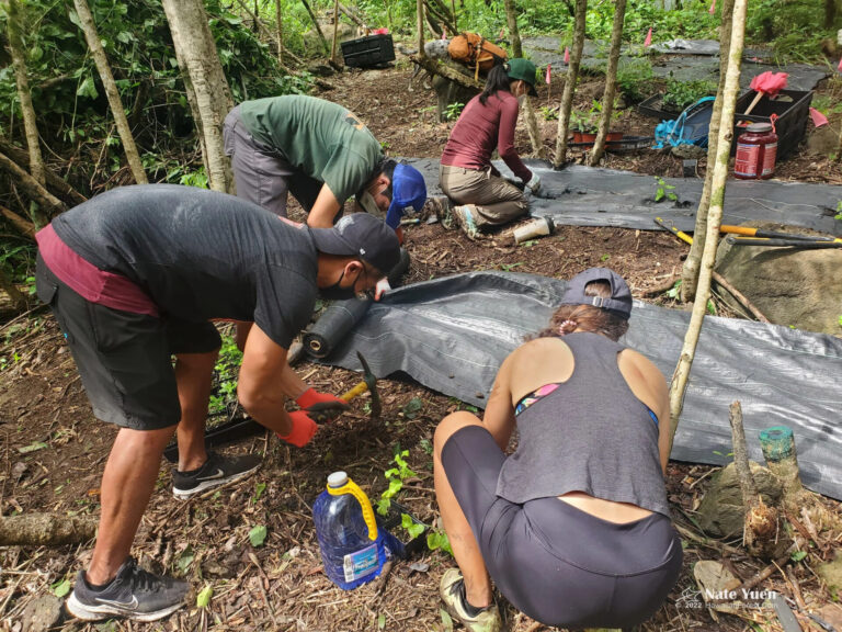 SuperChill Saturdays — Restoration Workday