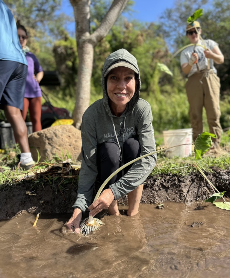 Land Restoration