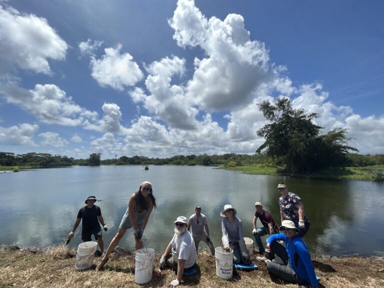 Coastal Wetland and Estuary Restoration in Hilo