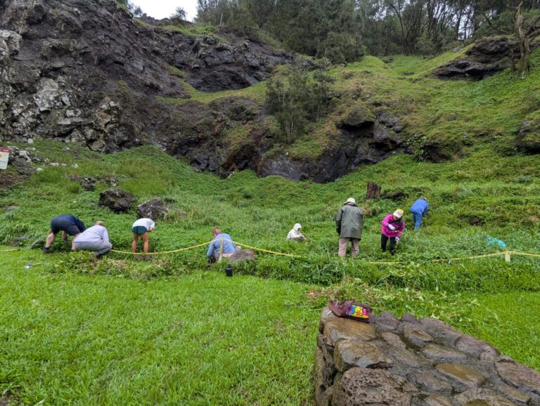 Mālama Nā Koʻolau Volunteer Day at Nuʻuanu Pali Garden