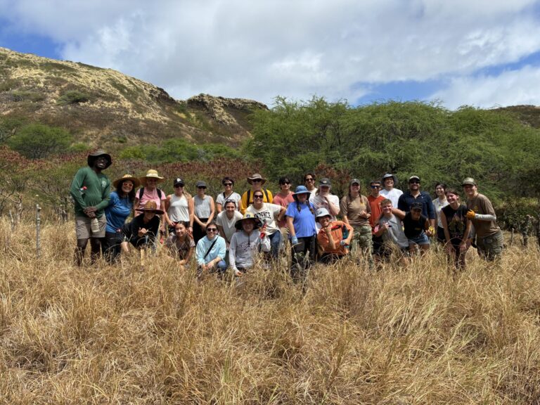 Beat the Burn Workday at Diamond Head